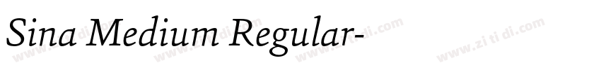 Sina Medium Regular字体转换